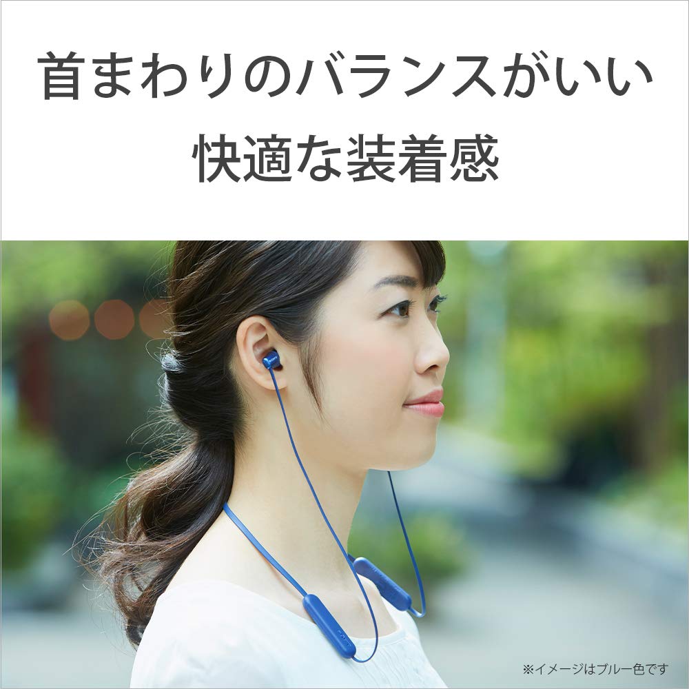 Sony Беспроводные наушники WI-C310 Черные