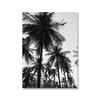 Scandinavian Poster Black White Beach Palm Tree Nordic Style Wall Art Canvas Print Painting Decoration Picture Living Room Decor No Frame