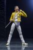 TAMASHII NATIONS Freddie approximately PVC ABS painted action figure S.H.Figuarts Mercury, 140mm, &
