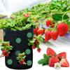 New Multi-Function 13 Holes Felt Hanging Tomato Grow Bag Planter Strawberry Vegetable Flower Plant Grow Bags Garden Plant Pot