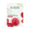 Moisturizing Lip Balm Strawberry (8 G), Moisturizing Lip Balm Strawberry,