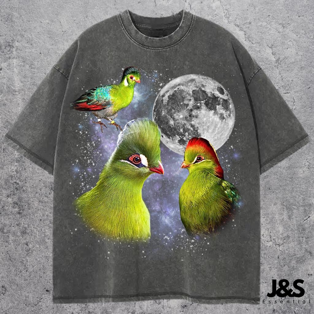 Three Turaco Retro Graphic Tshirts, Vintage Exotic Bird Moon Shirt, Colorful Wildlife Lovers Tee, Funny African Bird Gift Tshirt