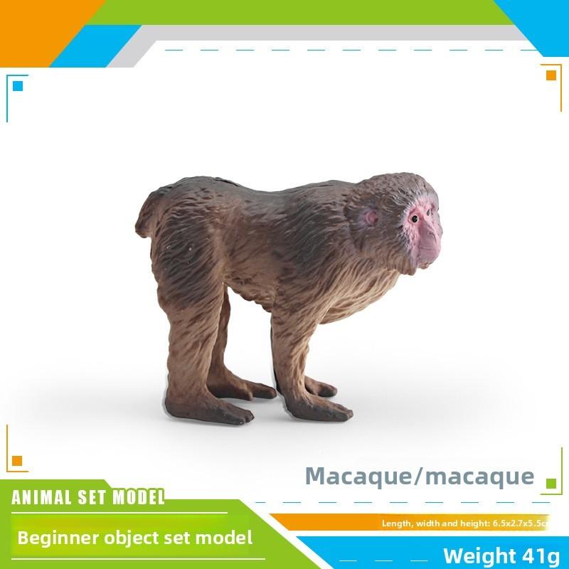 Wildlife Animal Rabbit Armadillo Macaque And Panda Model Collection Pvc Educational Figures For Kids Preschool Learning