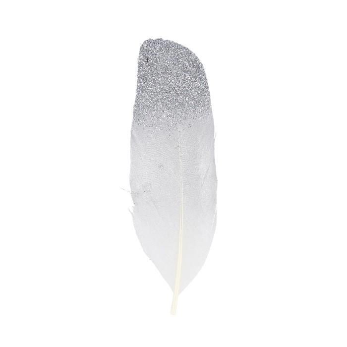 6 Silver Glitter Feathers