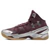 Curry 2 Retro Domaine Unisex Sneakers Red Deep-Red Metallic-Silver 3026052-601