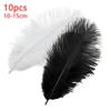 10Pcs Ostrich Feathers 10 15 Cm Trim Fabric Black White Plumas Small For Crafts Decoration Vases Centerpiece Flower Carnaval