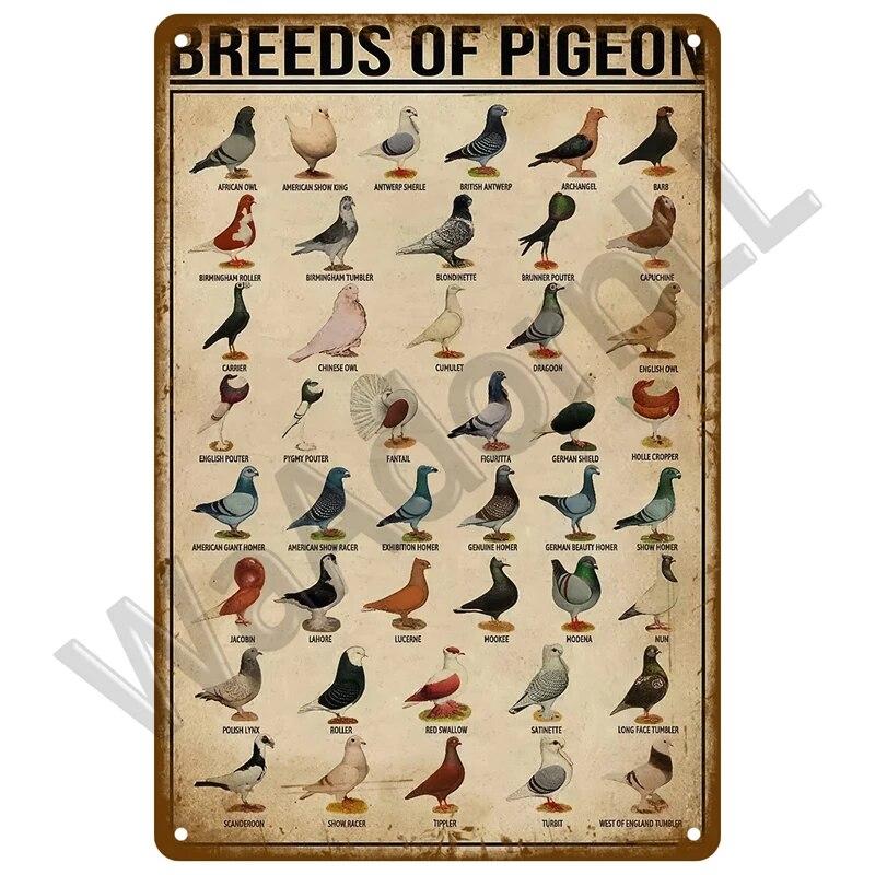 Металлический знак в стиле ретро, ​​черный кот, постер, забавный оловянный знак с котом, винтажная табличка с изображением животного, домашний декор, настенное искусство, зоомагазин, садовая табличка для бара для собак