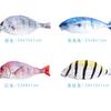 Creative Fish Pencil Case Large Capacity Pencils Pouch Bag Funny School Pencil Cases Stationery Supplies Kawaii Pencil Case