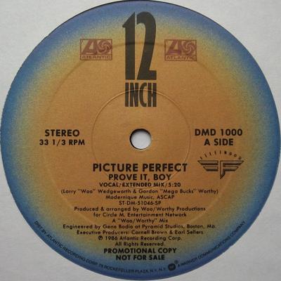 12-дюймовая пластинка PICTURE PERFECT - Докажи это, парень DMD1000PROMO Fleetwood Recor 1986 США Танцевальная и электронная Б/У