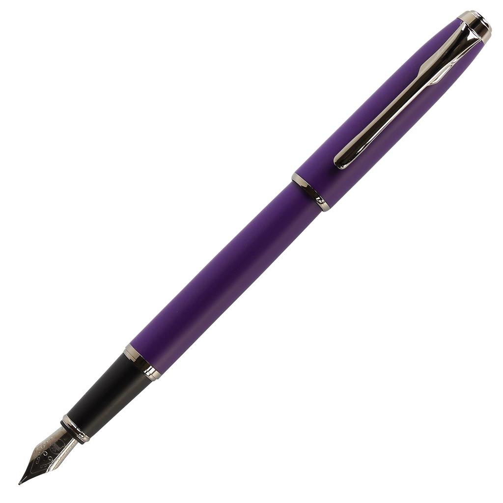 Teranishi Chemical Industry Guitar Fountain Pen F Purple GFPN-BK-F