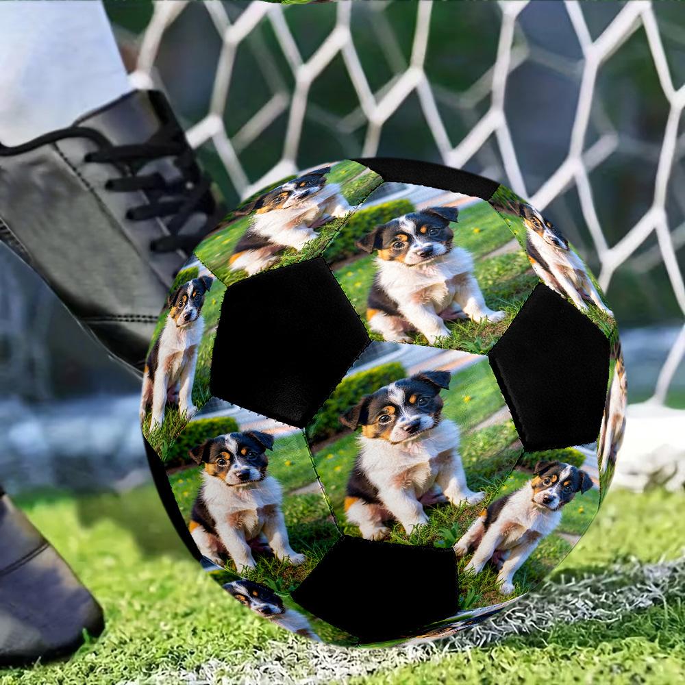 Adorable Puppy Garden Setting. Customize Your picture Size 5 Soccer football Machine Sewn Indoor/Outdoor Universal Football