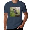 California Valley Quail Tshirt Basic Solid Color Casual Tee Shirt