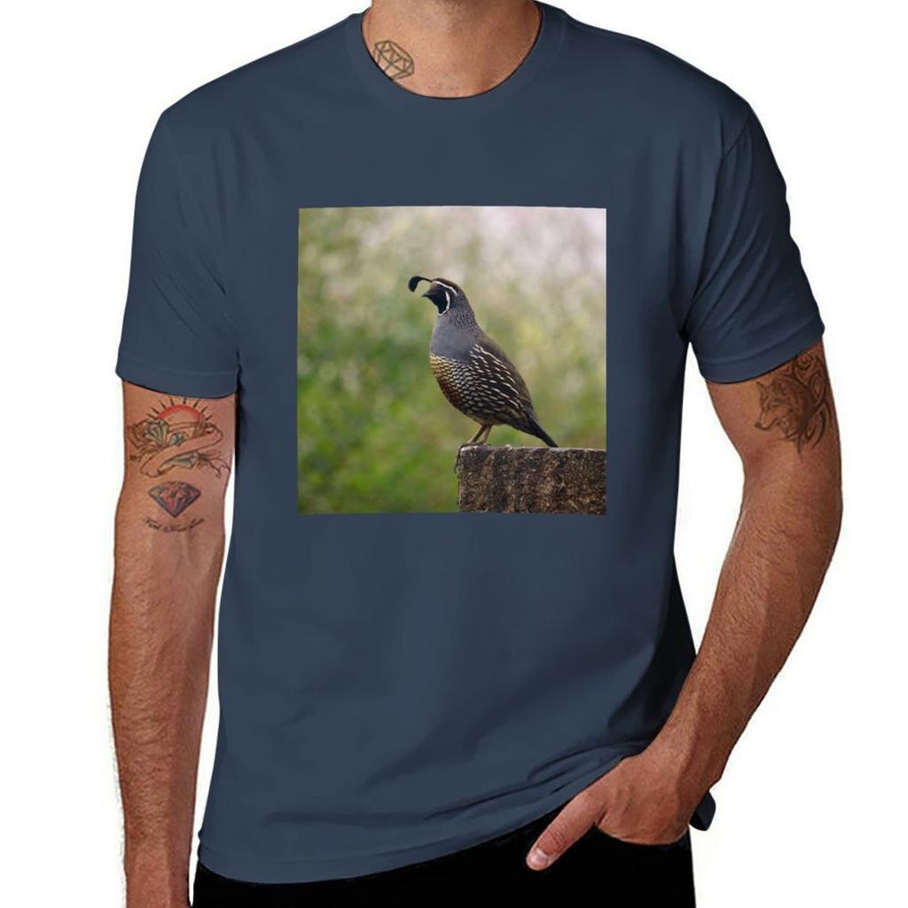 California Valley Quail Tshirt Basic Solid Color Casual Tee Shirt