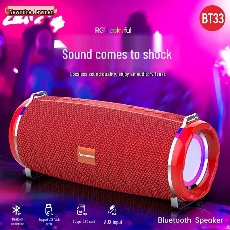 Портативная Bluetooth-колонка Newmine BT32, штекер CN (адаптер в комплекте)