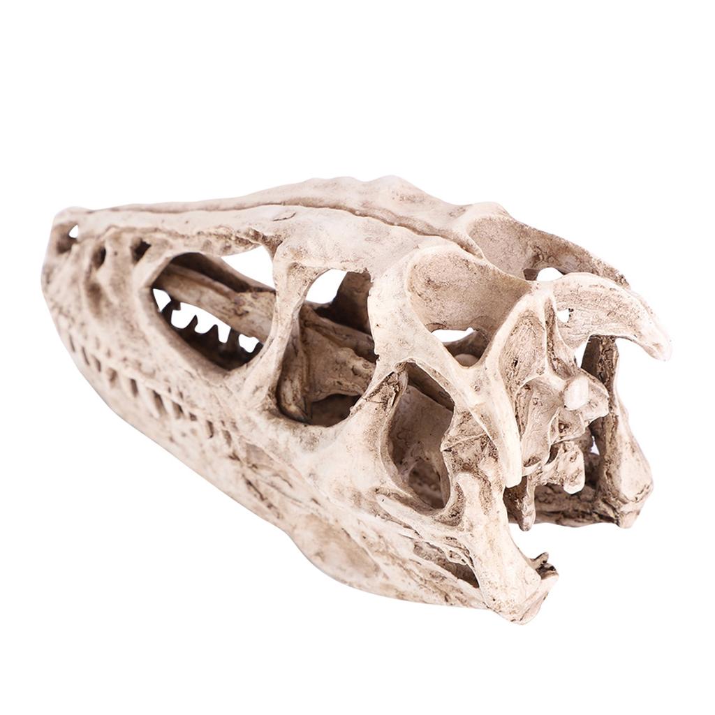 Resin Dinosaur Skull Model Simulated Animal Skeleton Home Office Decor Craft Teaching Prop
