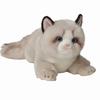 HOKESS Ragdoll Cat Plush Lifelike Soft Stuffed Kitten Birthday Gift for and Cat Lovers 20-inch Toy, Animal, Boys, Girls, Kids,