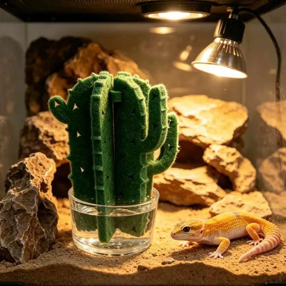 Moisturizing Terrarium Humidifier Simulation Plant Humidifier Terrarium Setup