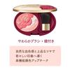 COFFRET Grand Lively Up Cheeks 02 Coral Cheek D'OR