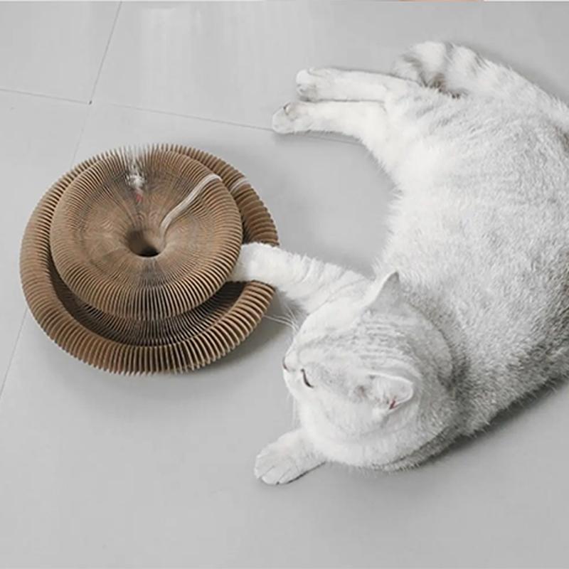 Волшебная кошачья органная доска, игрушка для кошек с мячом, шлифовальный коготь для кошек, рама для лазанья для котенка, круглая гофрированная игрушка для кошек, когтеточка