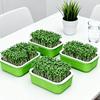 2Pcs High Ventilation Germination Tray Double Layer Grow Nursery Plate  Household Cultivation