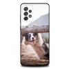 Чехол для телефона с собакой Бордер-колли для Samsung S25, S24, S21, S22, S23, S30, Ultra, S20, Plus, Fe, Lite, Note, 10, 9, 5G Черный Чехол