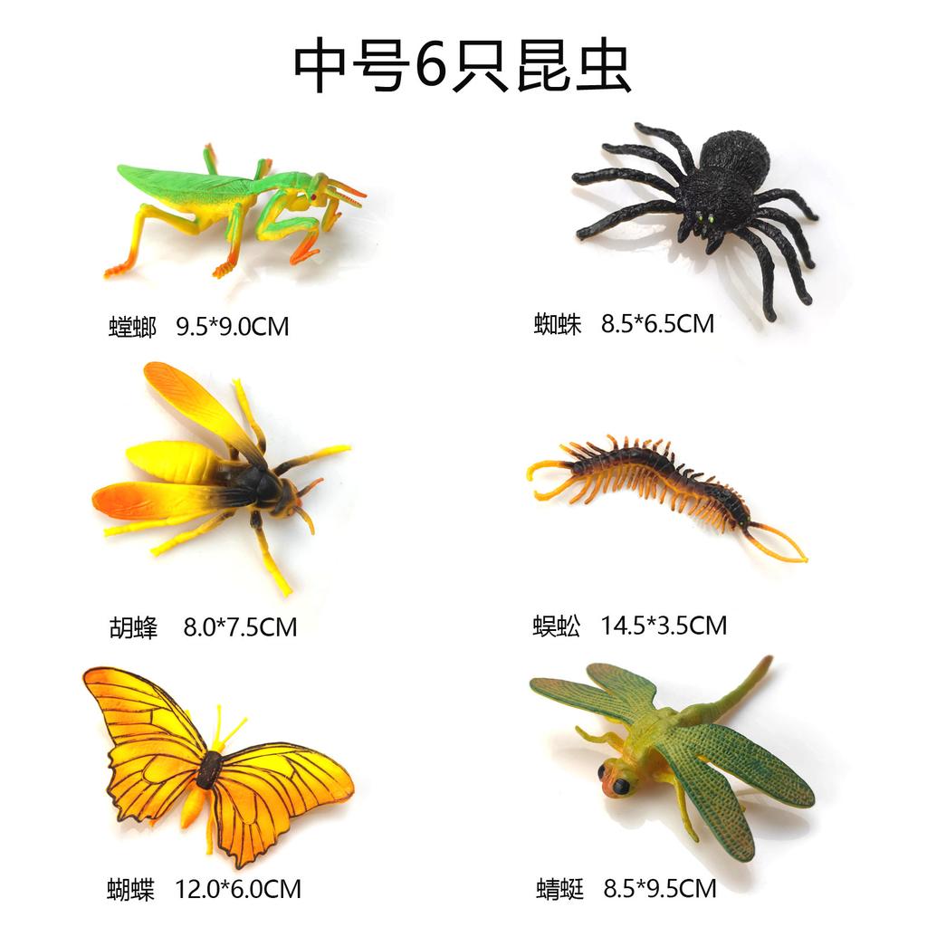 Dorcus Intermedius Образцы Атласских Подвидов Насекомых Настоящие Жуки Жуки-Олени Giddyups И Бабочки Для Коллекционеров