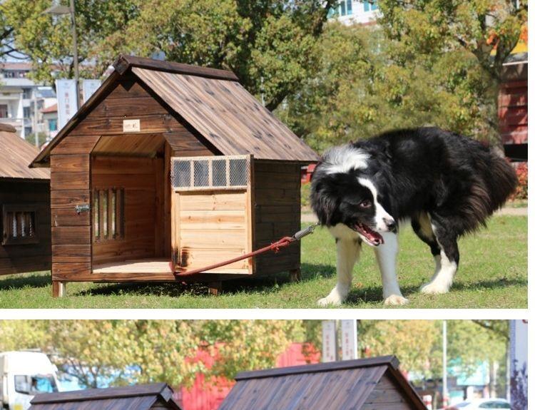 Handmade Solid Wood Outdoor Dog Kennel - Weatherproof, Large & Durable