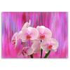 Холст, Орхидеи в фиолетовом и розовом