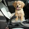 Автомобильный ремень безопасности для собаки, надежная шлейка, поводок против побега, шлейка-ремень безопасности для собаки, для питомца, щенка, поездок, путешествий, ежедневных прогулок, автомобиля