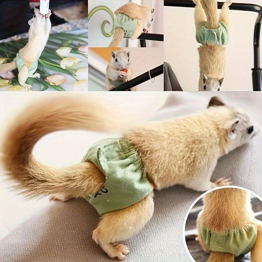 Potty Training Pet Training Pants Absorbent Squirrel Underwear For Guinea Pigs, Squirrels