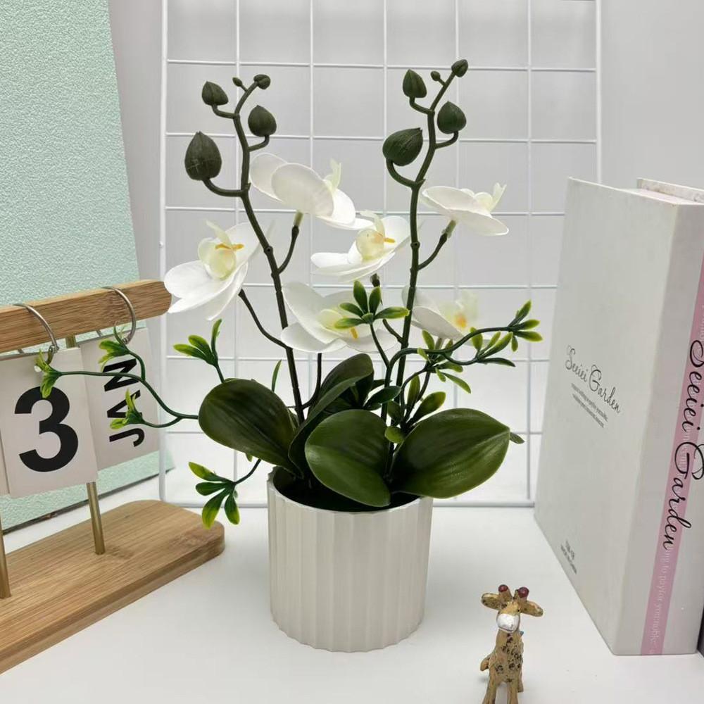 Fake Butterfly Orchid Flower With Pot For Indoor Home Decor And Greenery Enhancement