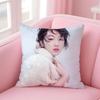 Fashion elegant Chinese actress ZZhou Dongyu Cushion Cover Pillowcase Short Plush Invisible zipper Room Sofa Cushion Cover