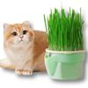 Hydroponic Cat Grass Box Planter Easy To Grow Grass Sprouter Tray  Indoor Cats