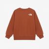 The North Face Детская анимированная толстовка темно-оранжевая Nm5mr55t