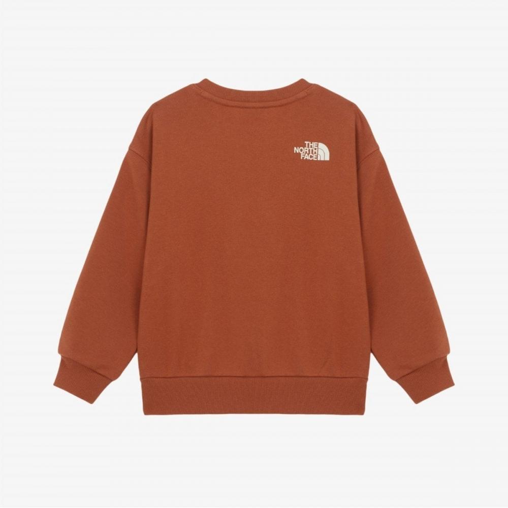 The North Face Детская анимированная толстовка темно-оранжевая Nm5mr55t