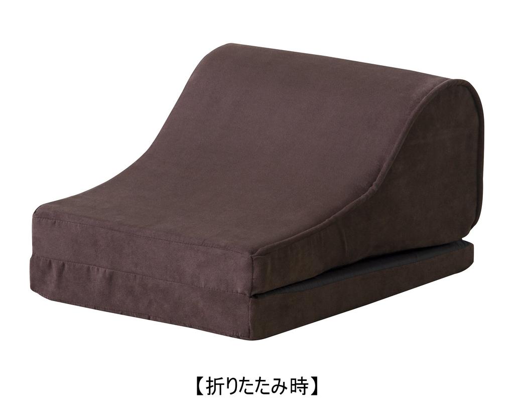AZUMAYA TV Pillow, Small, FCC-119BR