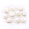 BROSS Auto Parts BCP002 10 Pieces Cable End Rope Dowel for Window Regulator Winder Mechanism Type BCP002 Fast Handling