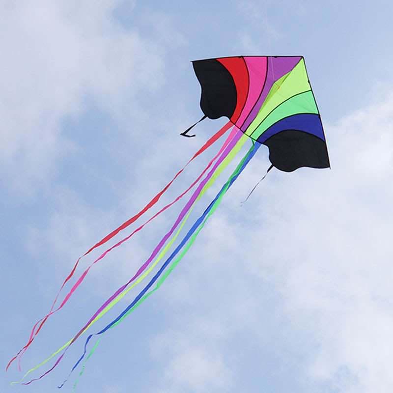Great Plains Extra Large Rainbow Kite for Kids - Excellent Flying Cartoon Design