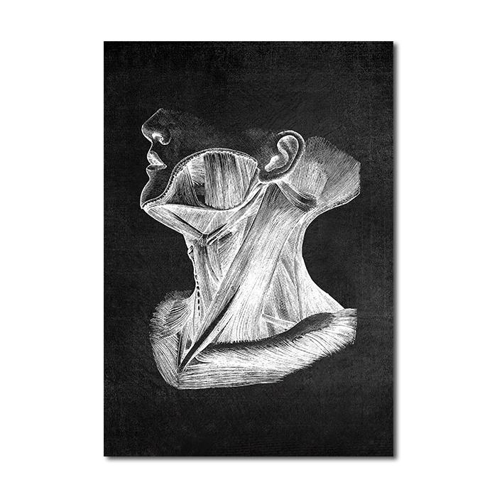 Human Anatomy Artwork Wall Picture Organ Muscle Skeleton Nordic Canvas Print Vintage Poster Art Painting Medical Clinic Decor