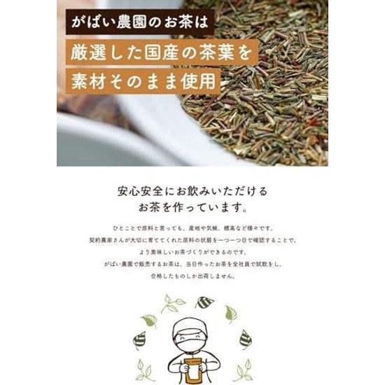 Gabai Farm Organic Cultivated Oolong Tea 3g40 bags (Oolong Tea) Domestic (Oita) JAS Chinese Health Bag Additive-Free