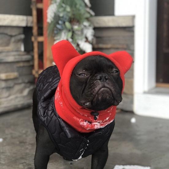 Зимняя шапка для собак из флиса, теплый головной убор для собак, чехол для ушей, регулируемый капюшон для собак