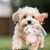 Cute Cartoon Animal Squeaky Plush Dog Toy Soft Curly Fur Interactive Chew Toy for Small Medium Puppies Boredom Relief