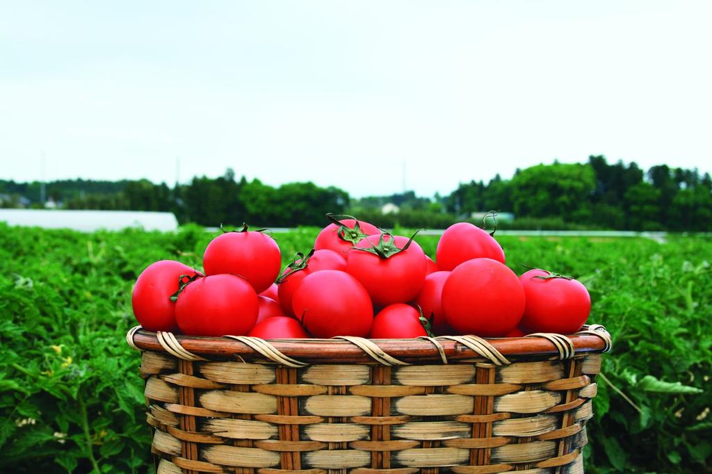 Томатный сок Kagome Centennial Quality 190 г x 30 бутылок