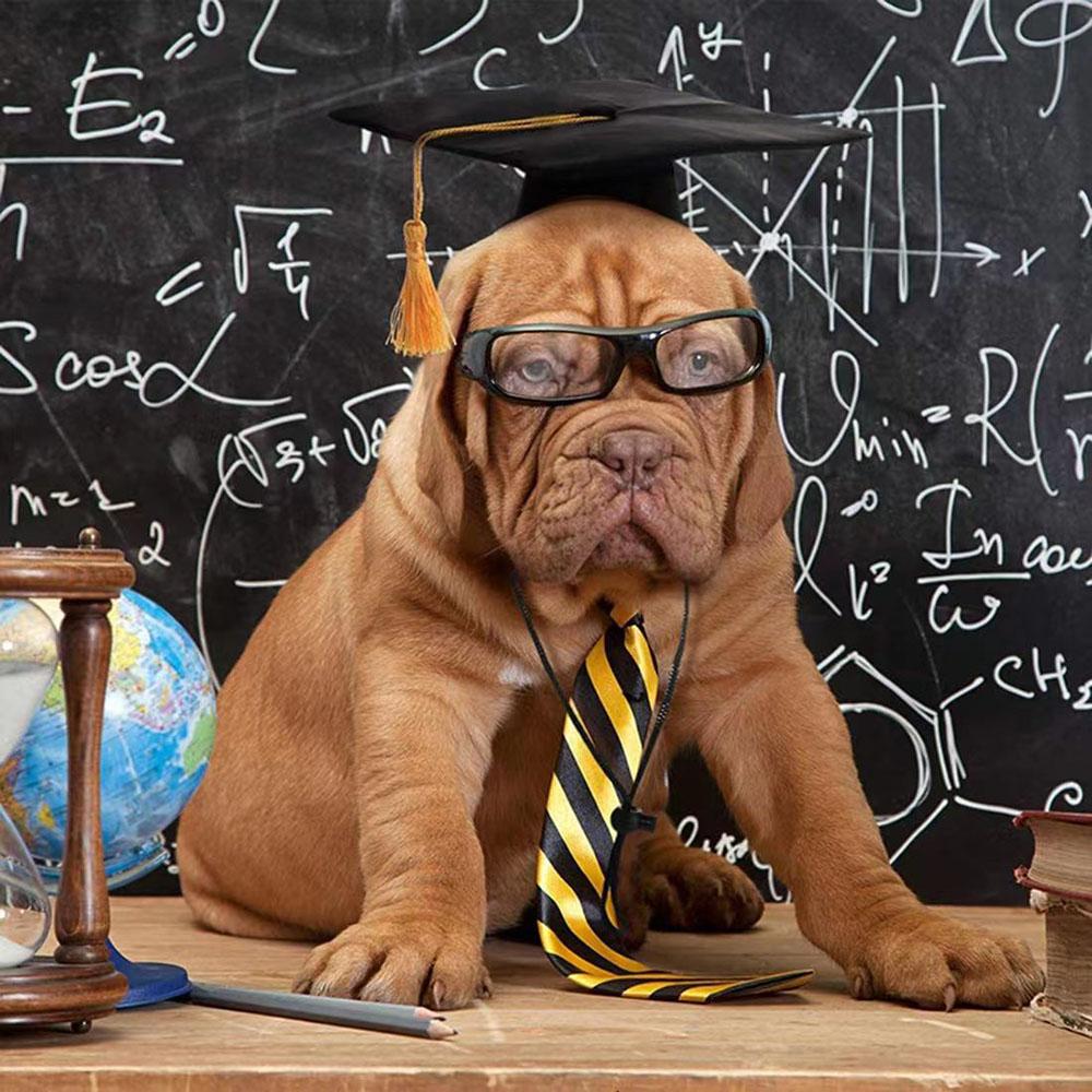 Pet Dog Cap Puppy Dr. Шляпа Собака Выпускная Шапочка Студенческая Кисточка Академическая Шапочка Питомец Изобретательные Вечеринка Аксессуары разработаны для Собак Кошек Всех Размеров