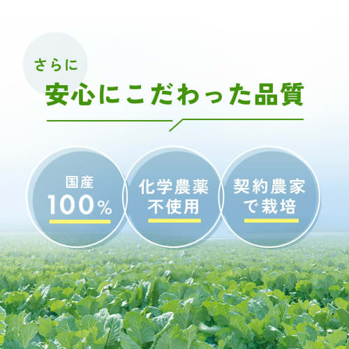 Fancl 1 Days Worth of Kale Green Juice 30 Bottles Powder Easy To Drink Health Food/vegetable Deficiency Domestic Kale Vegetables Kale Green Juice