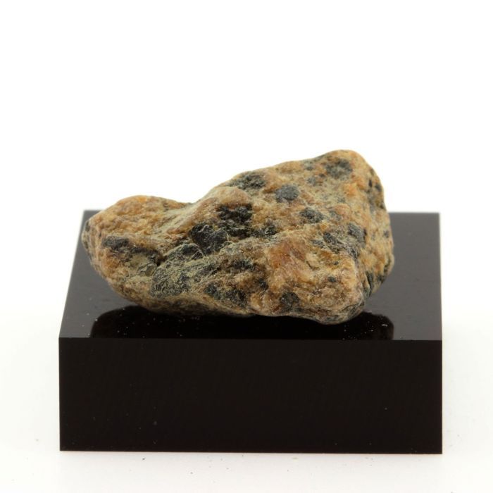 Lamprophyre 27.9 carats