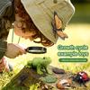 1 Box Biology Discovery Toy Realistic Frog Bee Panda Chick Butterfly Fish Plant Animal Life Cycle Learning Creative Toddler
