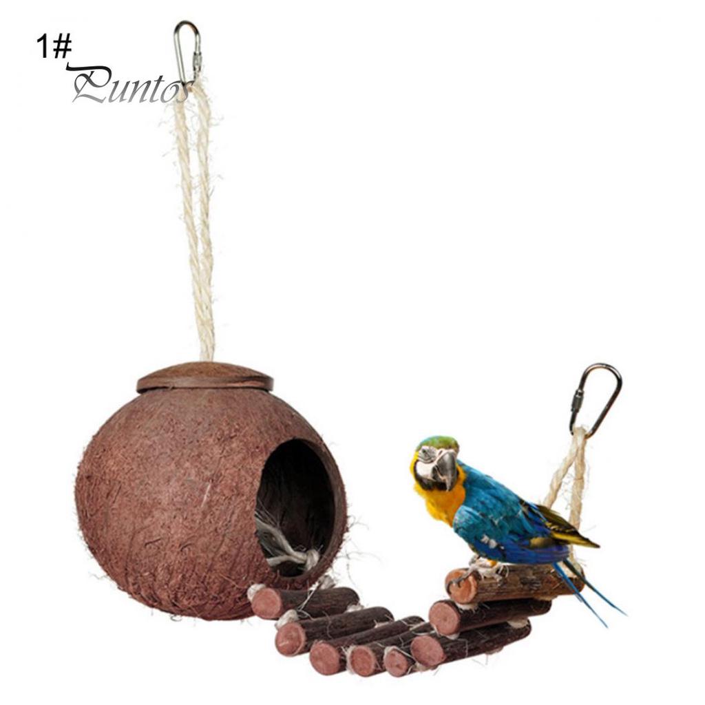Natural Coconut Shell Parrot Nest Parakeet Birds Feeder Pets Toy with Ladder