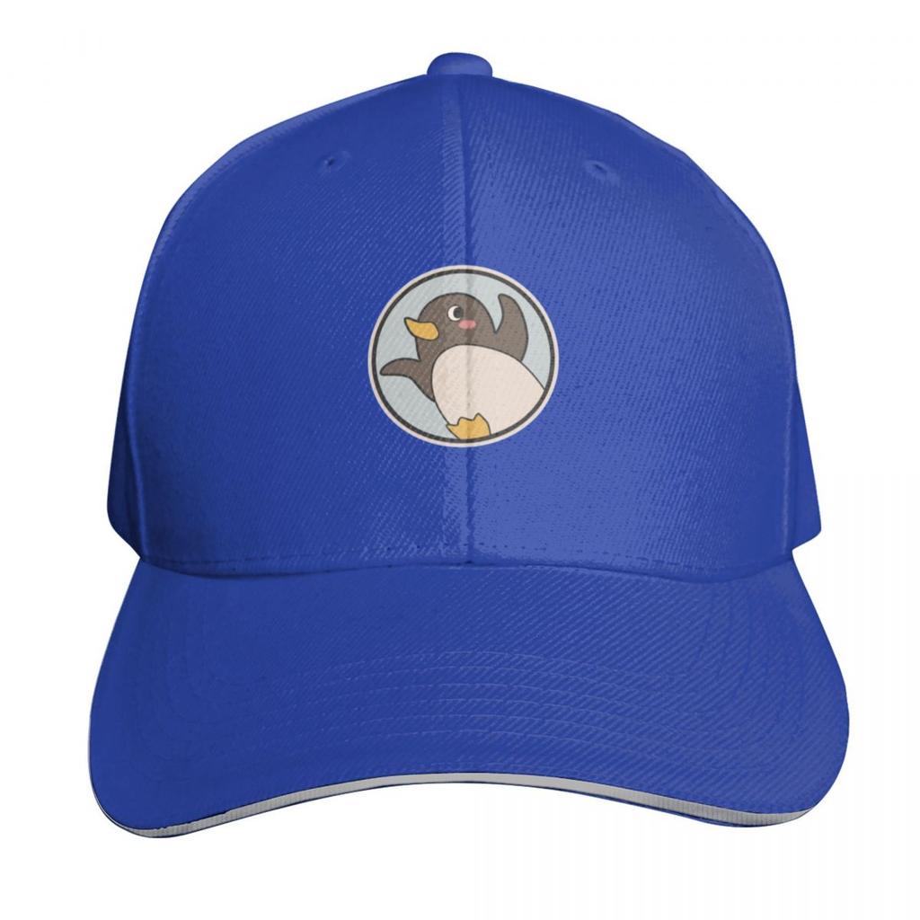 A Place Further than the Universe Challenge for Antarctic Logo Essential Baseball Cap Rugby western Hat For Women Unisexs