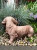Adorable long-haired dachshund sand-colored concrete figure